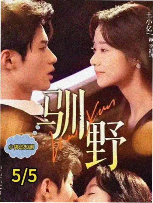 白露为霜 海报
